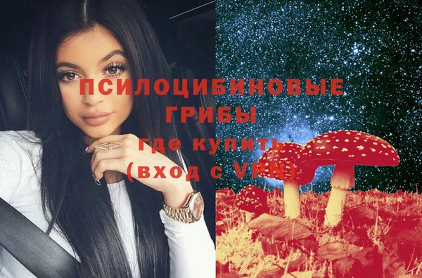 дживик Арсеньев
