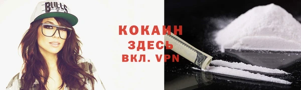 дживик Арсеньев