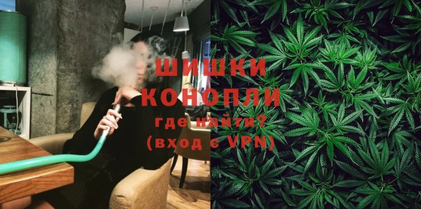 крисы Аркадак